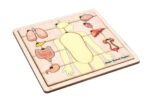 Major Organs of the Human Body Puzzle with Nomenclature Cards (3-6) | Montessori Materials | Human Anatomy | Three Part Cards