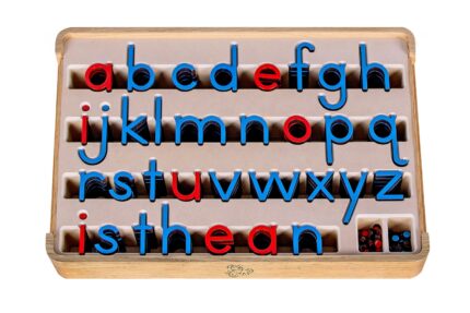 Movable Alphabet. English. Small letters. Montessori method of education
