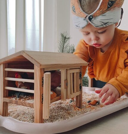 Wooden Henhouse Coop – Waldorf and Montessori Toy, Quiet Sensory and Early Learning