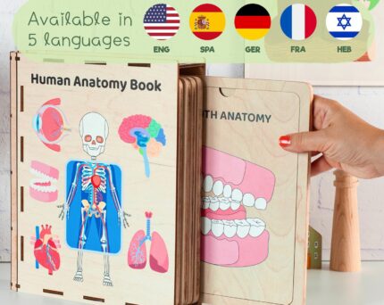 Human Anatomy Wooden Book for Kids, Learning Human Organs Puzzle, Montessori Toddler Toys, Preschool Curriculum, Toddler Activities Gifts