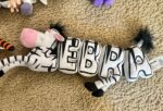 Lot of PBS Word World Replacement Stuffed Plush Magnetic Pull Apart Letters Toy Magnets Letters Zebra Animal Wordworld - Image 2