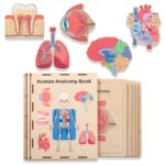 Anatomy Toy Puzzle Book, Montessori Human Body Organs, Kids Learning Gift