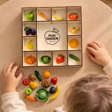 Polymer clay fruit and veggie sorting set, early development sensory toy