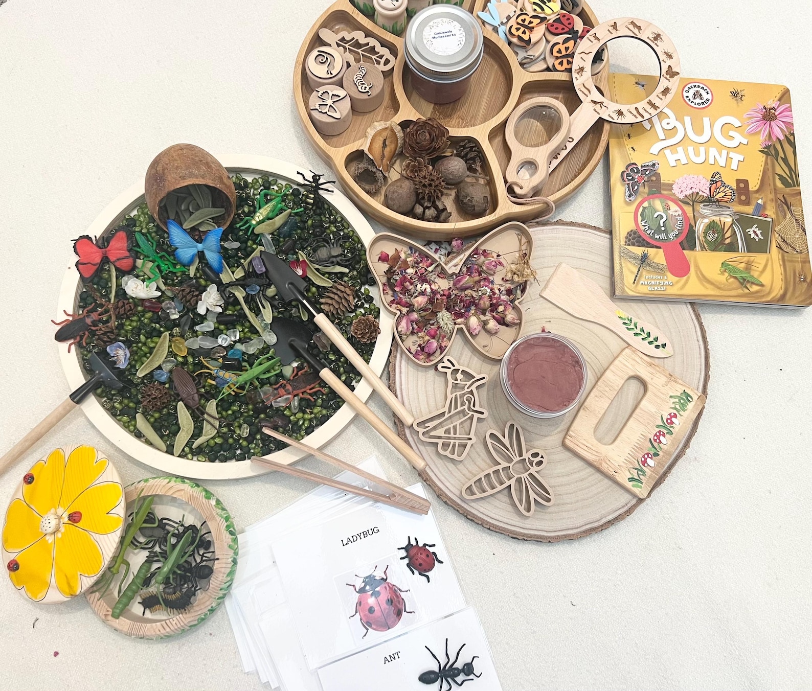 il_1588xN.8055673709_f5pm.jpg Montessori Bug Hunt Sensory Kit, Fine Motor Skills Learning Toy, Ages 3+ - Image 1
